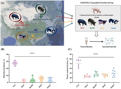 Micro-Coevolution of Genetics Rather Than Diet With Enterotype in Pigs